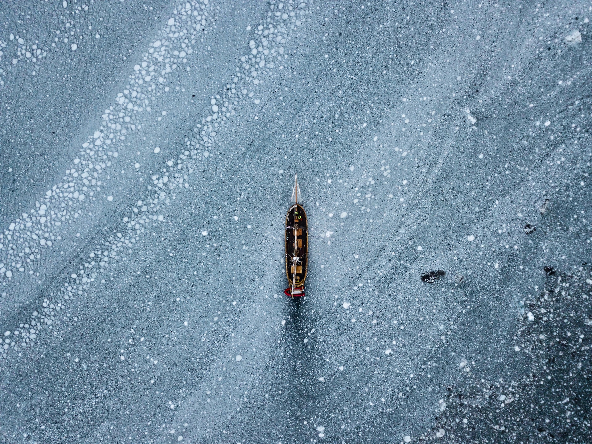 Photo by Dylan Shaw on Unsplash